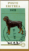 rottweiler0552.gif (21909 bytes)