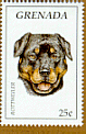 rottweiler1186.gif (8254 bytes)