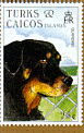 rottweiler1750.gif (9481 bytes)