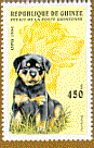 rottweiler1784.gif (8048 bytes)