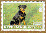 rottweiler1854.gif (10541 bytes)